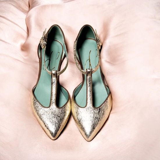 Paola D'arcano Ballet Flat - Gold Timeless Marthas Vineyard